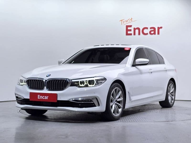2019 BMW 5 Series 520i Luxury photo 1